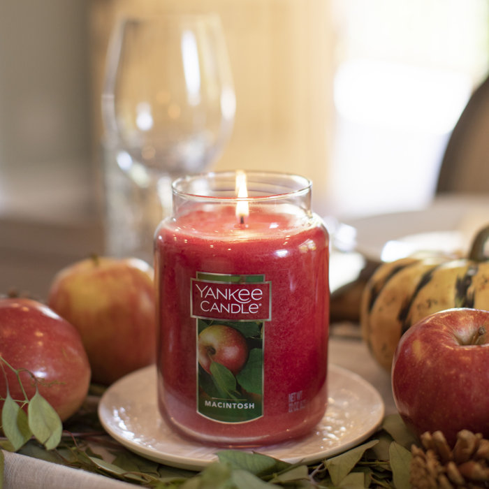 YANKEE CANDLE Macintosh Scented Jar Candle & Reviews Wayfair